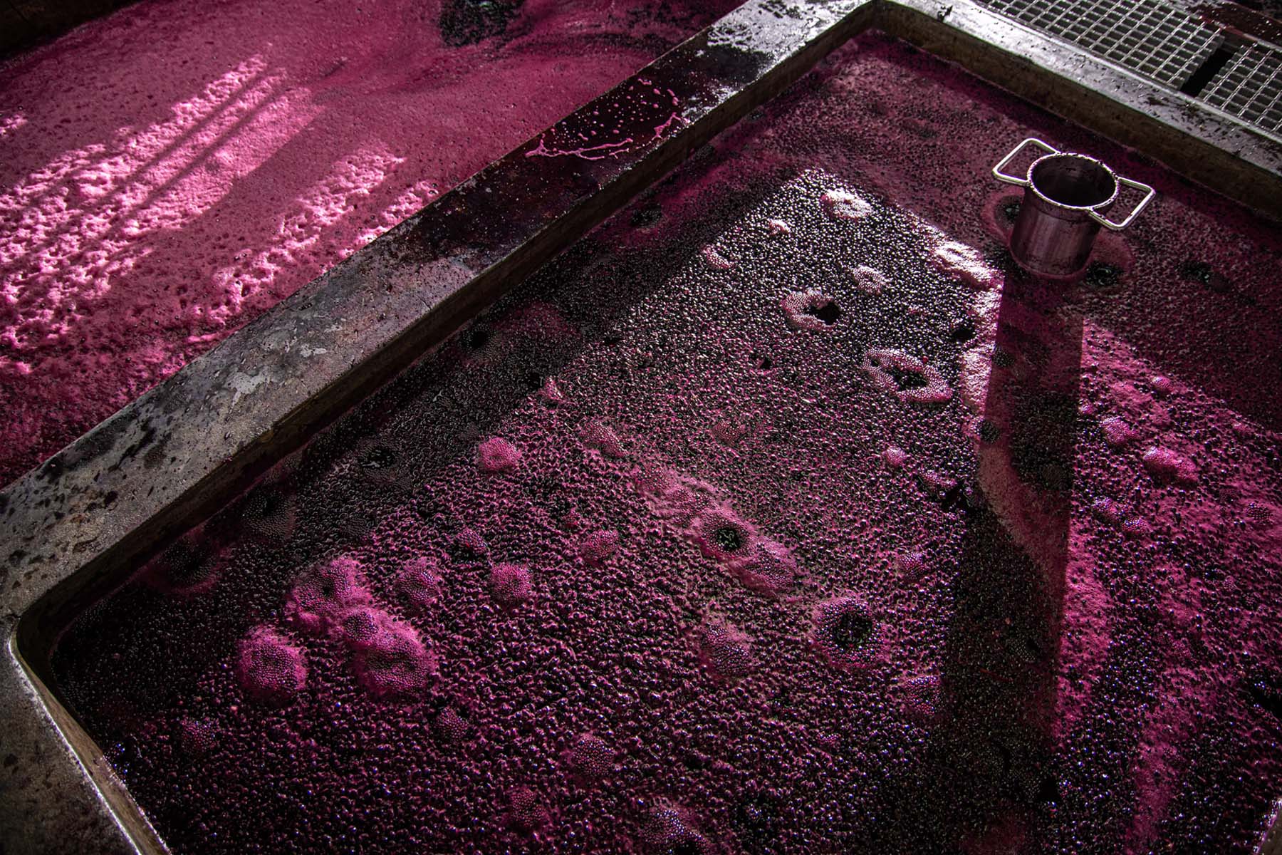 A Wonderful 2024 Vintage Reaches Completion