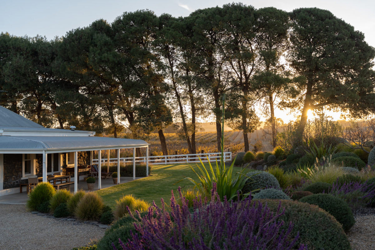 LOST IN THE FOG GRENACHE FESTIVAL 2026 | 23-24 AUGUST 2026