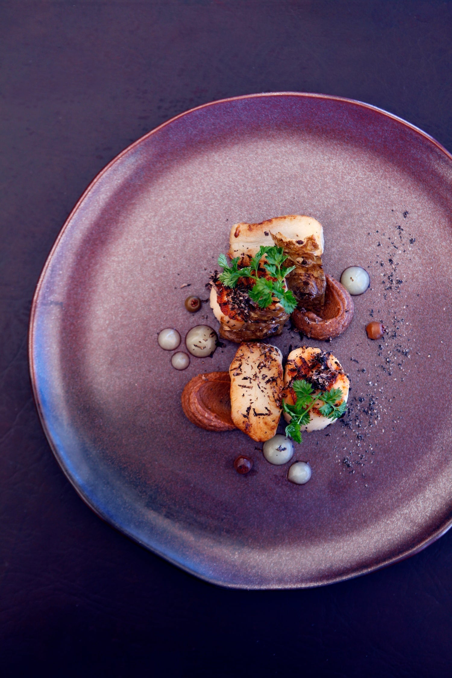 Tasmanian Scallops, Sunchokes, Black Garlic, Truffle