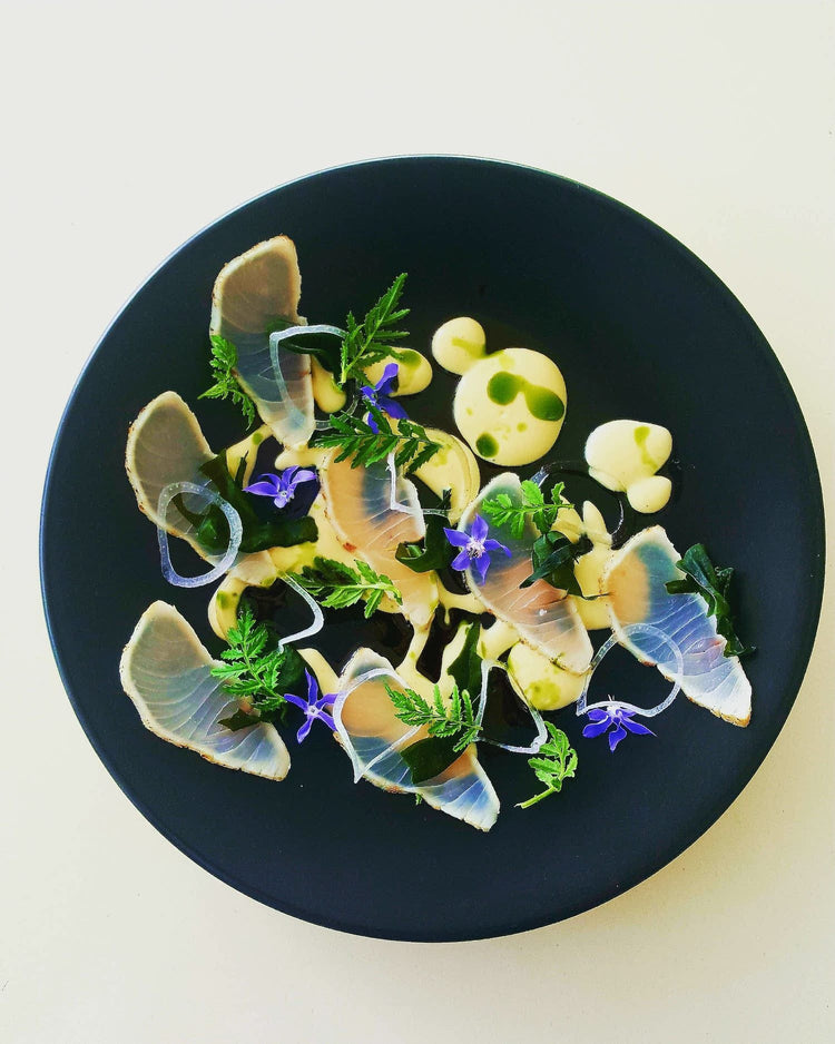 Torched Miso, Lord Howe Island Kingfish