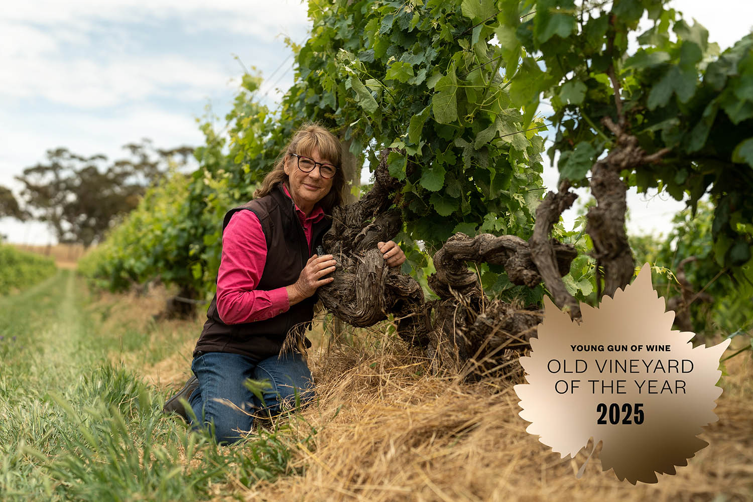 Mount Edelstone Vineyard Awarded 'Old Vineyard of the Year'