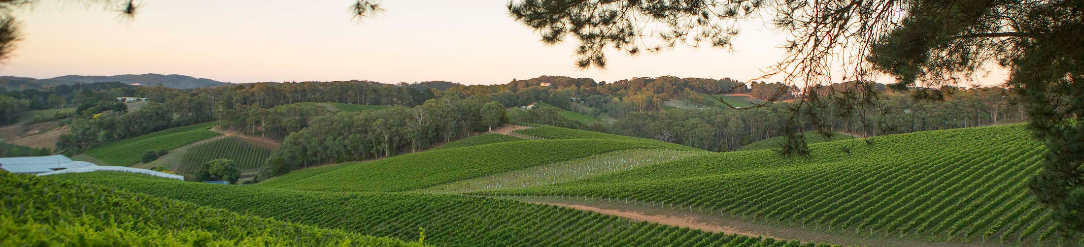 The Lenswood Collection