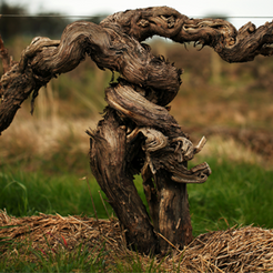 WineHubProductImage-2398