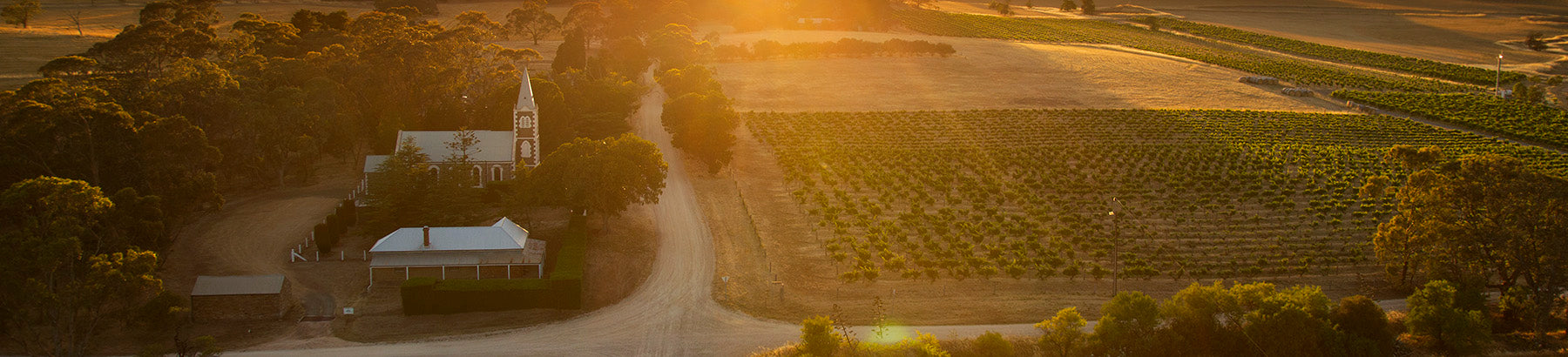 Hill of Grace Vineyard
