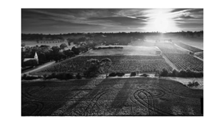 Henschke Hill of Grace Vineyard, Aerial Photograph